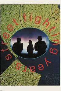 Street Fighting Years