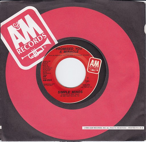 Promised You A Miracle