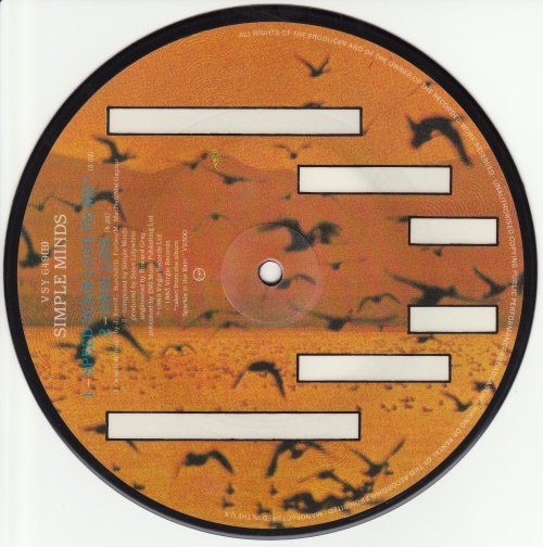 7" single (45 tours) (Picture Disc) - Jaquette arrière