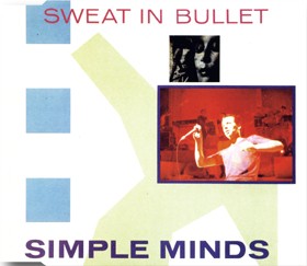 Theme 04 - Sweat In Bullet