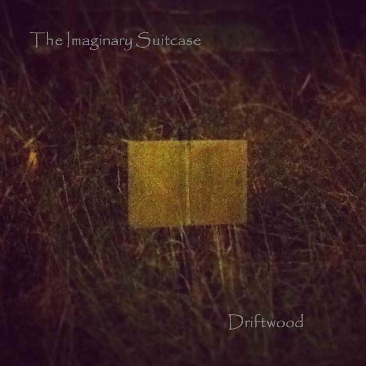 Pochette : Driftwood
