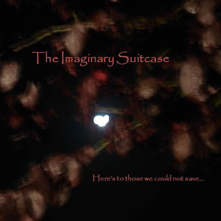 Pochette : Here's To Those We Could Not Save..