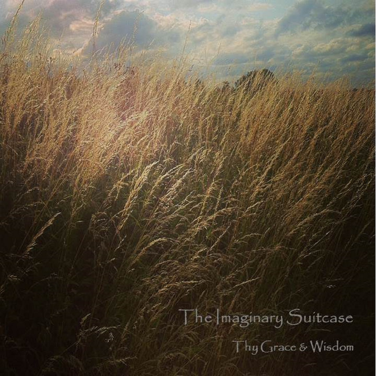 Pochette : Thy Grace & Wisdom