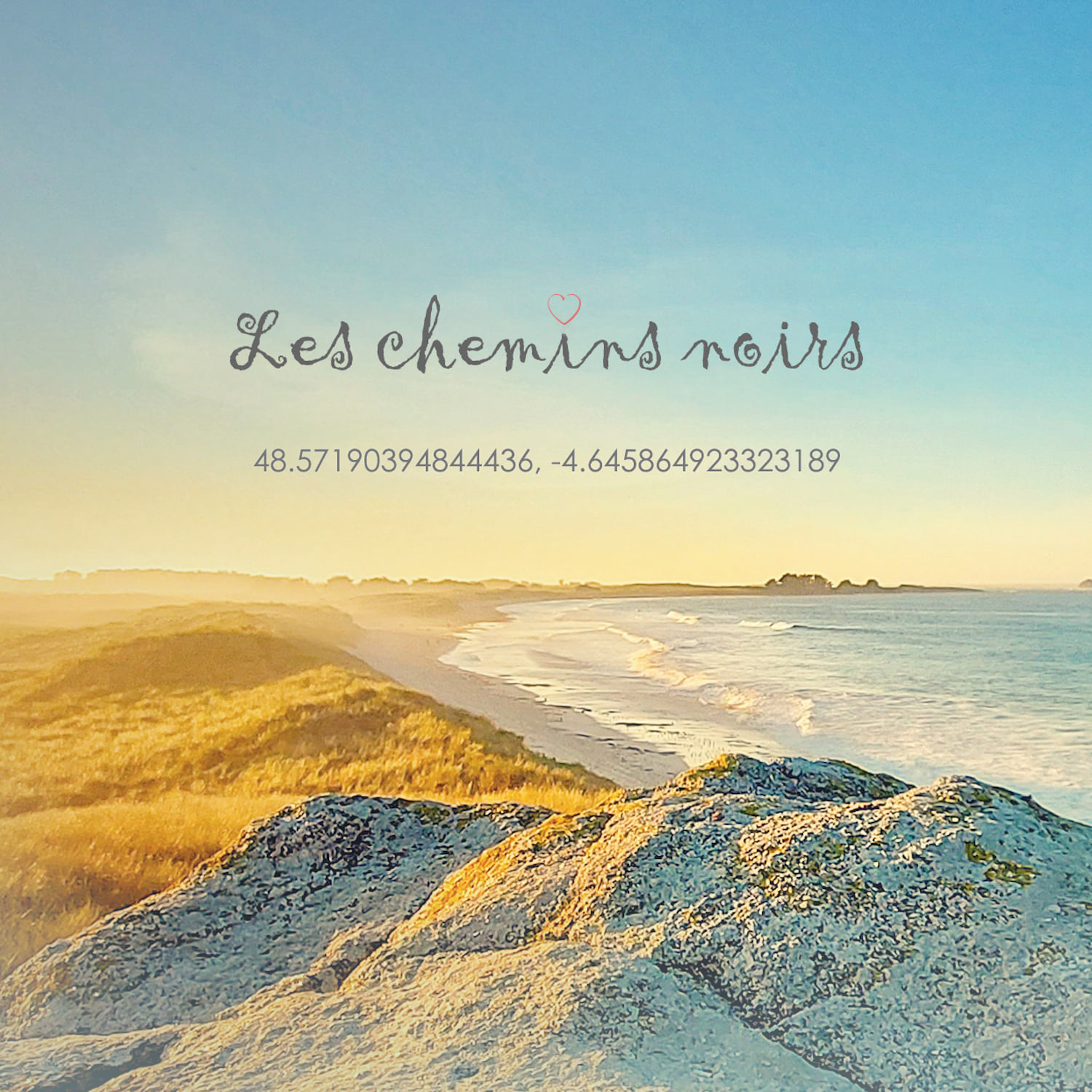 Pochette : Les chemins noirs