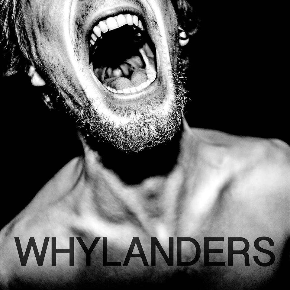 Pochette : Whylanders